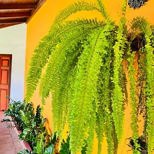 https://breeze-of-paradise.negombohotels.net